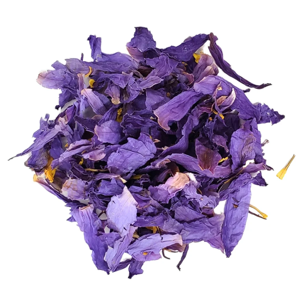 Fleurs de Lotus Bleu